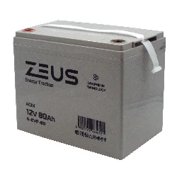 Аккумулятор ZEUS 6-EVF-80 (12V80Ah) тяговый Фото 1