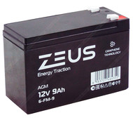 Аккумулятор ZEUS 6-FM-9 (12V9Ah) тяговый