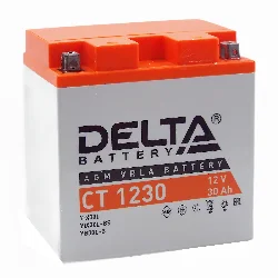 Аккумулятор DELTA СТ 1230 AGM 30 Ач о.п. (YTX30L-BS) Фото 1