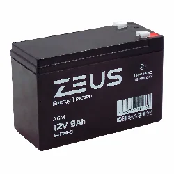 Аккумулятор ZEUS 6-FM-9 (12V9Ah) тяговый Фото 1