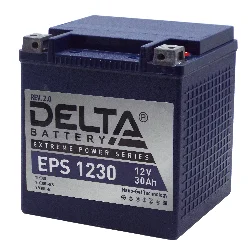 Аккумулятор DELTA EPS 1230 30 Ач о.п. (YTX30L-BS) Фото 1