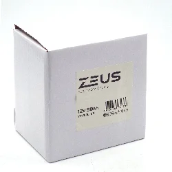 Аккумулятор ZEUS SUPER AGM 30 Ач о.п. (YTX30L-BS) СУПЕР ЦЕНА Фото 1